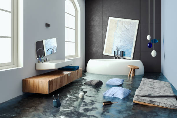 Best Basement water damage restoration  in Edenton, NC