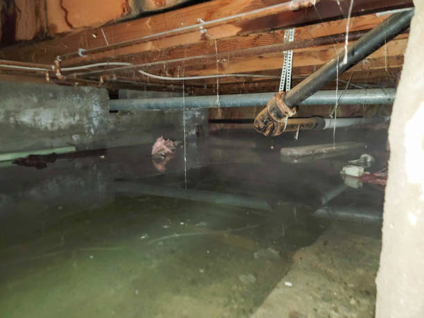 Best Water damage restoration near me  in Edenton, NC