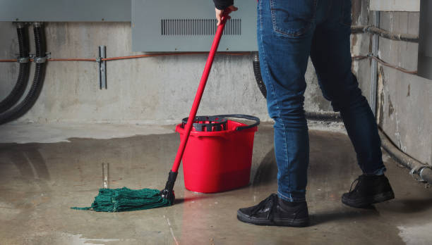 Best 24-hour water damage restoration  in Edenton, NC