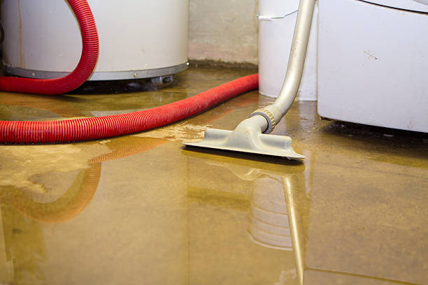 Professional Water damage restoration in Edenton, NC