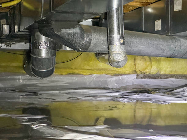 Best Water damage restoration near me  in Edenton, NC