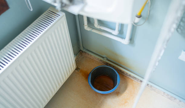 Best Flood restoration services  in Edenton, NC