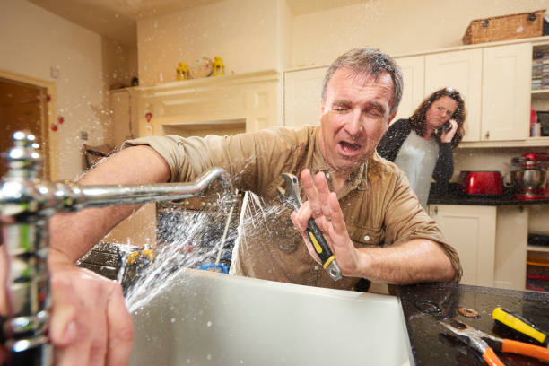 Best Carpet water damage restoration  in Edenton, NC